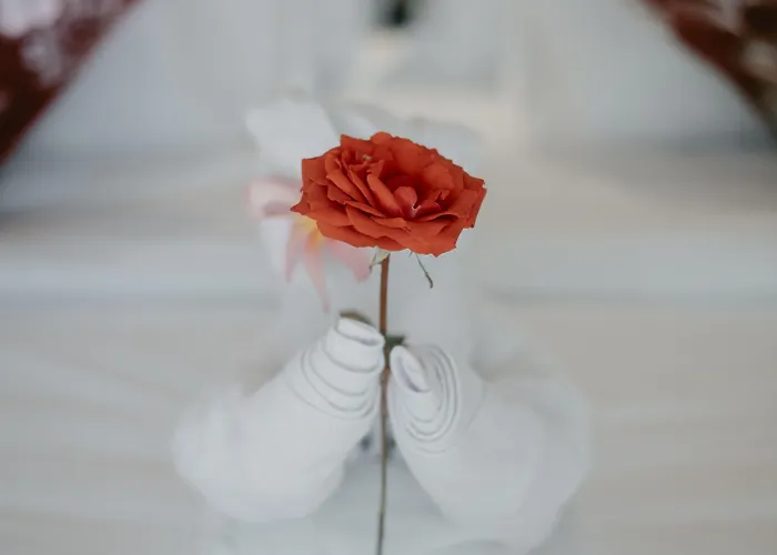Bidadari
